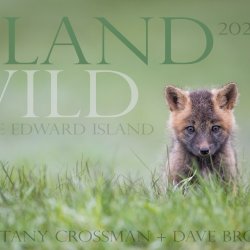 Island Wild Prince Edward Island photography workshop