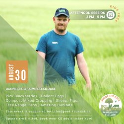 Inside the Gate: Dunnes Farm Pastured Eggs, Co. Kildare