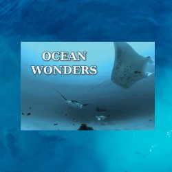 Ocean Wonders Movie Poster