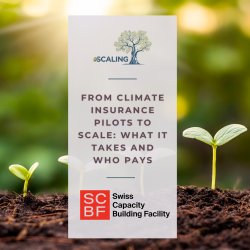 From Climate Insurance Pilots to Scale: What It Takes and Who Pays