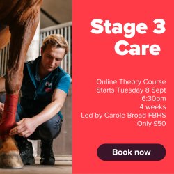 BHS Stage 3 Care Theory Course