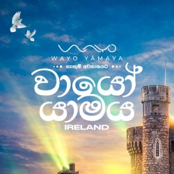 WAYO YAMAYA