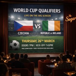 World Cup Qualifiers – Czechia v Republic of Ireland