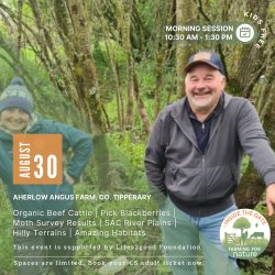 Inside the Gate: Aherlow Angus Farm, Co. Tipperary
