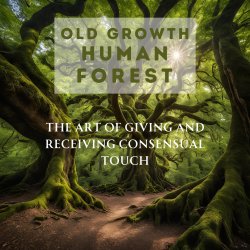 Old Growth - Human Forest Tallebudgera Valley