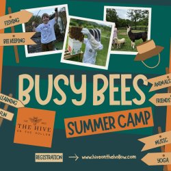 Busy Bees Day Camp: June 22th