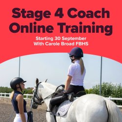 Stage 4 Coach Online Theory Training Sessions