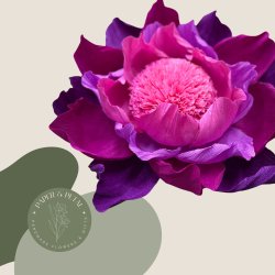 Giant Crepe Paper Wall Flower Workshop