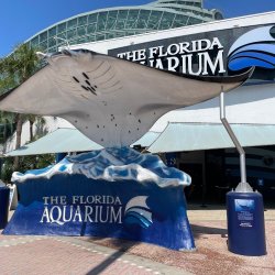 The Florida Aquarium - Wild Dolphin Cruise - Round Trip Transportation
