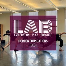 LAB: Horton Foundations (Beg)