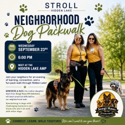🐾 Stroll Hidden Lake Neighborhood Dog Pack Walk