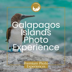 Galapagos Islands Premium Photo Experience