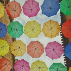 Advanced Certificate in Working with Neurodivergent Clients 2027