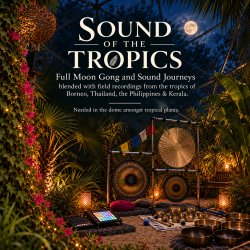 Sound of the Tropics: Full Moon Gong & Sound Journeys @ Hilton Court Gardens