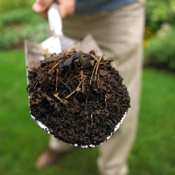 Distribution de compost et paillis Île-des-Sœurs - Automne 2026