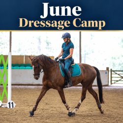 Dressage Camp - June
