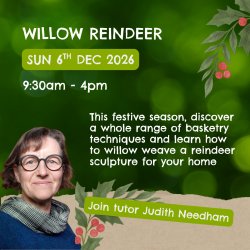 Willow Reindeer - 6th December 2026