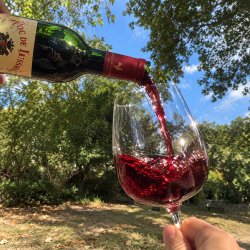 Your Crash Course in Wine Waffle