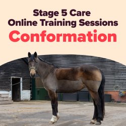 Static and Dynamic Conformation - for Stage 5 Care (Stable Managers)