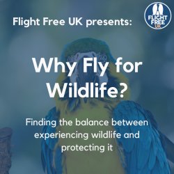 Photo of a parrot in nature. Large text overlays the photo saying 'Why Fly for Wildlife? Finding the balance between experiencing wildlife and protecting it.'