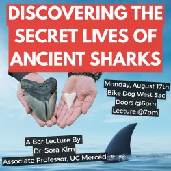 Discovering the secret lives of ancient sharks a bar lecture by dr. sora kim
