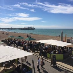 Brighton B Local's Summer Evening Picnic
