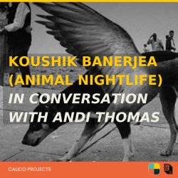 Koushik Banerjea (Animal Nightlife) in conversation with Andi Thomas