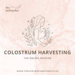 Colostrum Harvesting Session