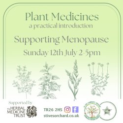 Plant Medicine: Supporting Menopause