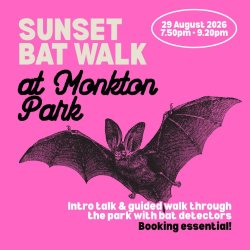 Sunset bat walk at Monkton Park