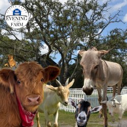 Evening at The Farm Tour