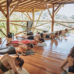 Yin Yang Flow - All Levels Yoga