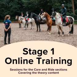 Stage 1 Care & Ride Theory Online Course