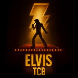ELVIS TCB - At The Alabama Elvis Festival