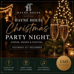 Hayne House Christmas Party night