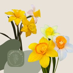 Crepe Paper Daffodil Workshop