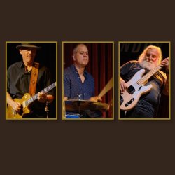 Terraplane Blue Live