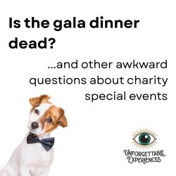 Small white and brown dog wearing a black tie looking inquisitive