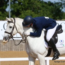 Rider leaning forward on grey horse