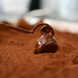 Chocolate Truffle Making