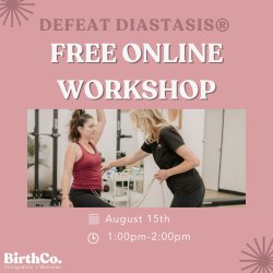VIRTUAL Defeat Diastasis: Core + Pelvic Floor Workshop