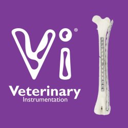 Vi image and bone fracture model