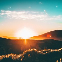 Summer Solstice Walk