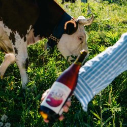 67 Tasting Room - Copains Valaisans