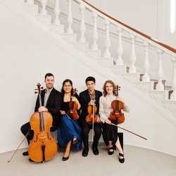 The Momenta Quartet