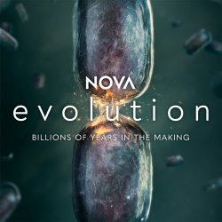 NOVA: Evolution Screening