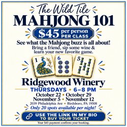 Mahjong 101 - Beginner Mahjong Lesson hosted by The Wild Tile