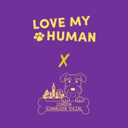 The Ultimate Schnauzer Sunday at Love My Human