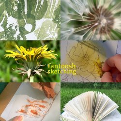 Collage of art works & flowers, by Lynn Fraser.