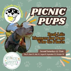 Picnic Pups: Real-Life Manners for Dogs Who Go Places